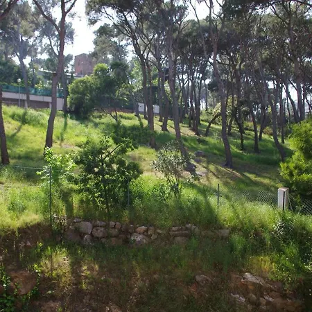 דירה Eden Playa Standing סנט אנטוני דה קלנג'ה